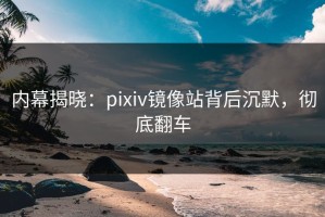 内幕揭晓：pixiv镜像站背后沉默，彻底翻车