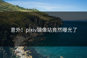 意外！pixiv镜像站竟然曝光了