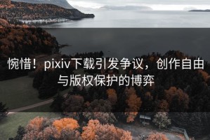 惋惜！pixiv下载引发争议，创作自由与版权保护的博弈