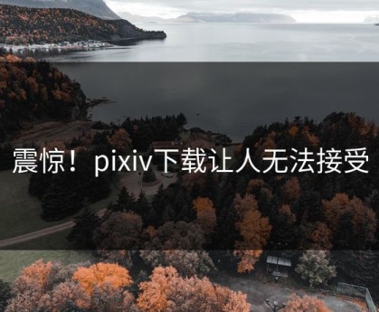 震惊！pixiv下载让人无法接受