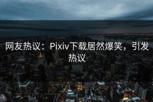 网友热议：Pixiv下载居然爆笑，引发热议