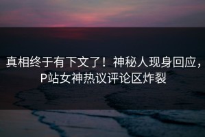 真相终于有下文了！神秘人现身回应，P站女神热议评论区炸裂