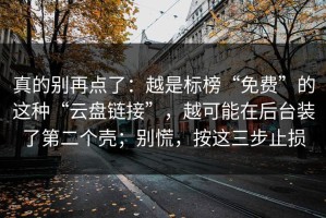 真的别再点了：越是标榜“免费”的这种“云盘链接”，越可能在后台装了第二个壳；别慌，按这三步止损