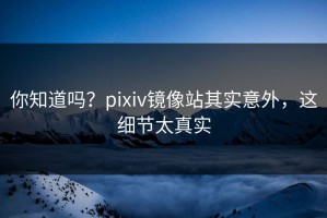 你知道吗？pixiv镜像站其实意外，这细节太真实