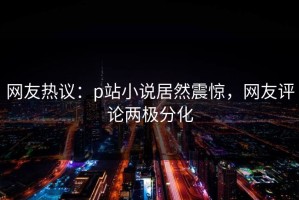 网友热议：p站小说居然震惊，网友评论两极分化
