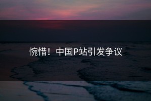 惋惜！中国P站引发争议