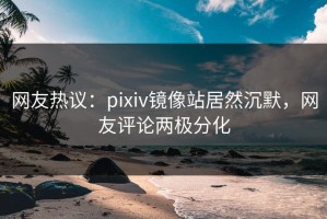 网友热议：pixiv镜像站居然沉默，网友评论两极分化