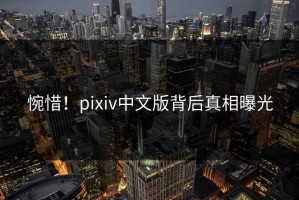 惋惜！pixiv中文版背后真相曝光