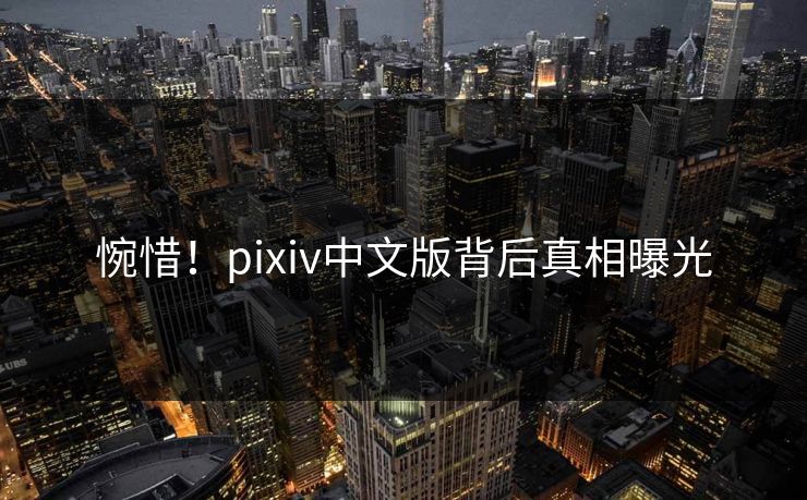 惋惜！pixiv中文版背后真相曝光