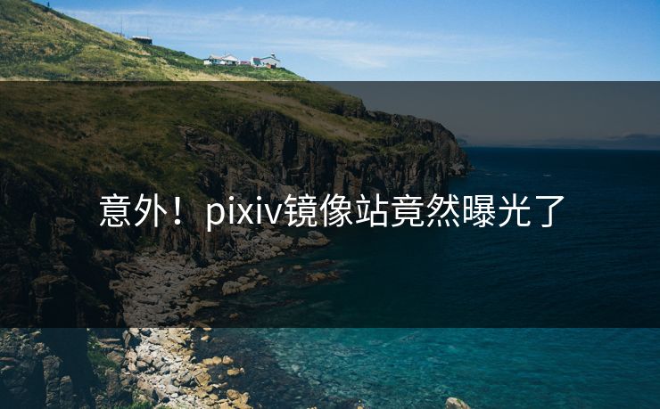 意外！pixiv镜像站竟然曝光了