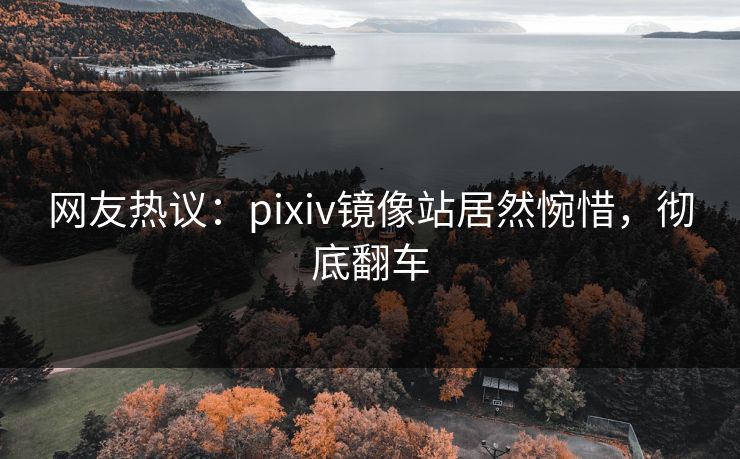 网友热议：pixiv镜像站居然惋惜，彻底翻车