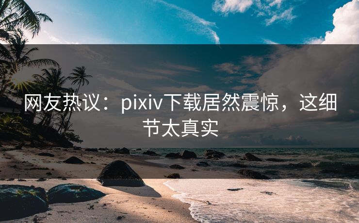 网友热议：pixiv下载居然震惊，这细节太真实