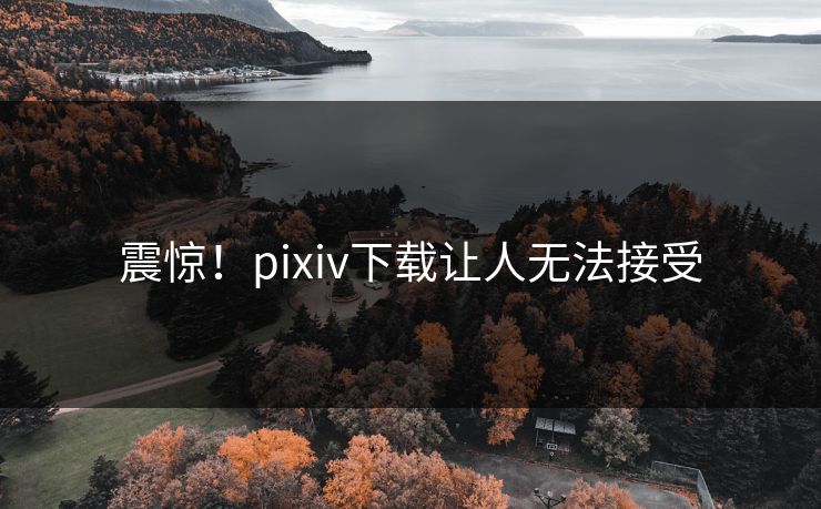震惊！pixiv下载让人无法接受