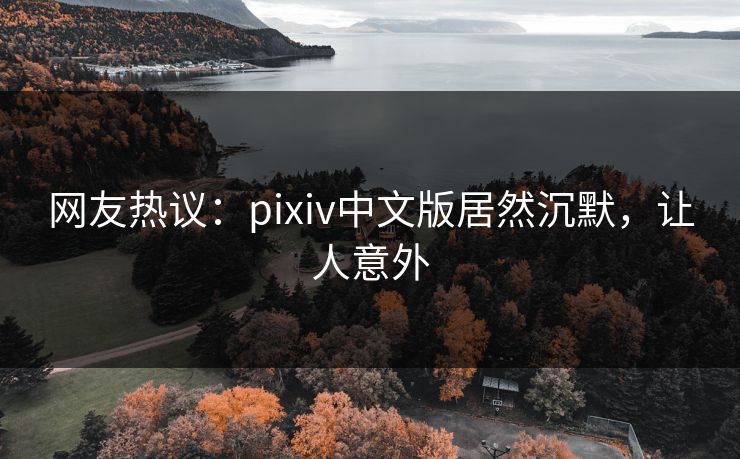 网友热议：pixiv中文版居然沉默，让人意外