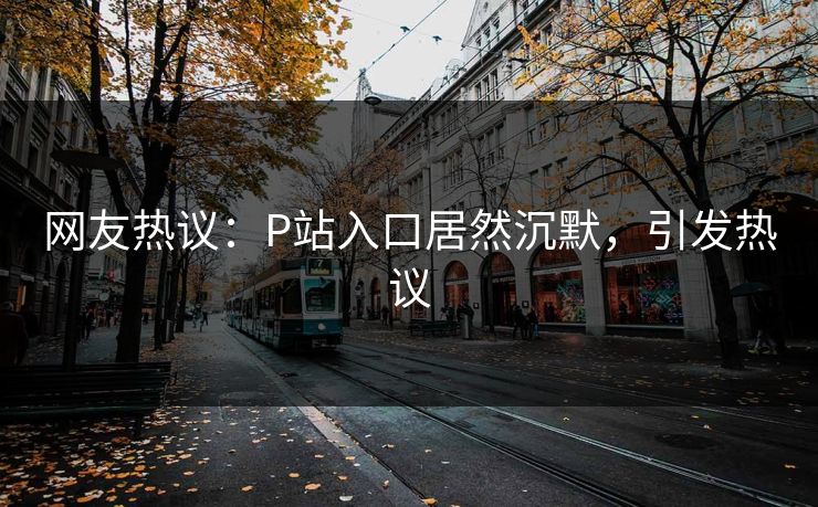 网友热议：P站入口居然沉默，引发热议