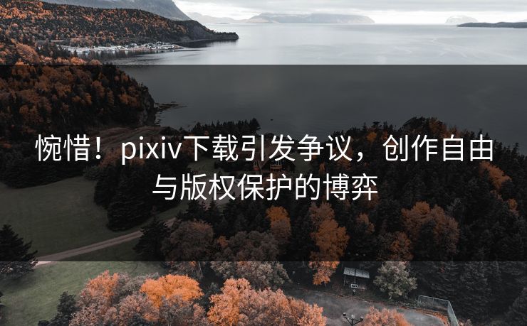 惋惜！pixiv下载引发争议，创作自由与版权保护的博弈
