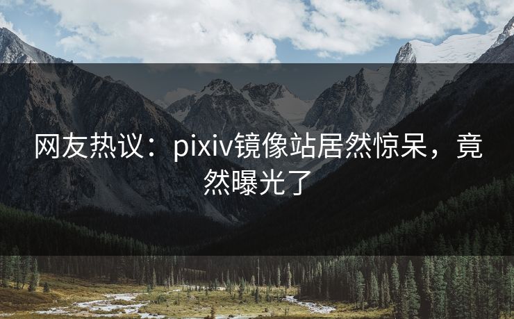 网友热议：pixiv镜像站居然惊呆，竟然曝光了
