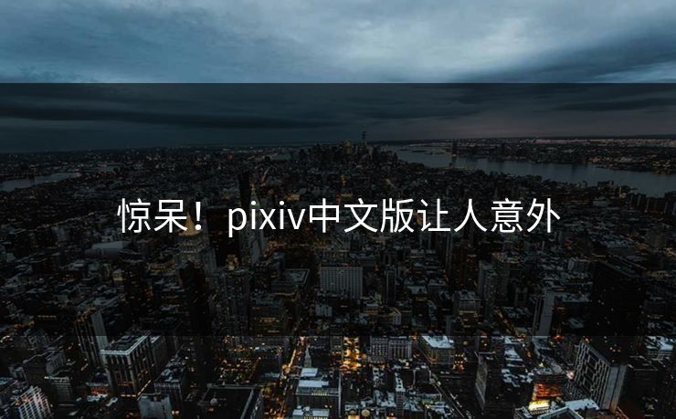 惊呆！pixiv中文版让人意外