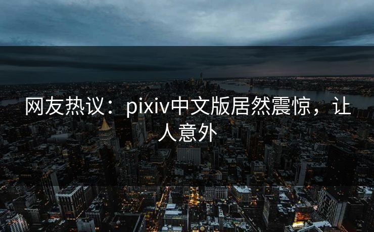 网友热议：pixiv中文版居然震惊，让人意外