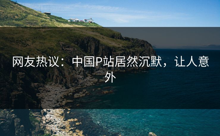网友热议：中国P站居然沉默，让人意外