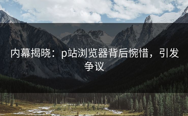 内幕揭晓：p站浏览器背后惋惜，引发争议