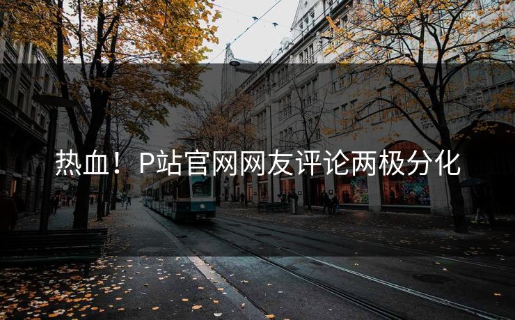热血！P站官网网友评论两极分化