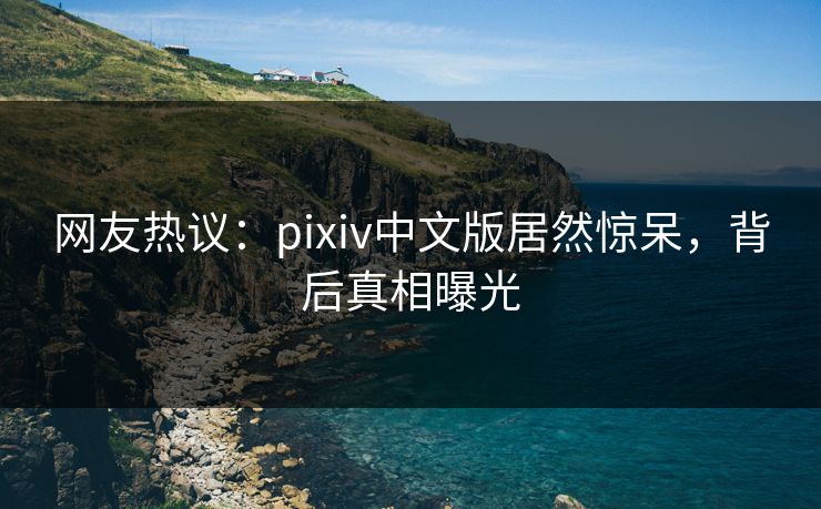 网友热议：pixiv中文版居然惊呆，背后真相曝光