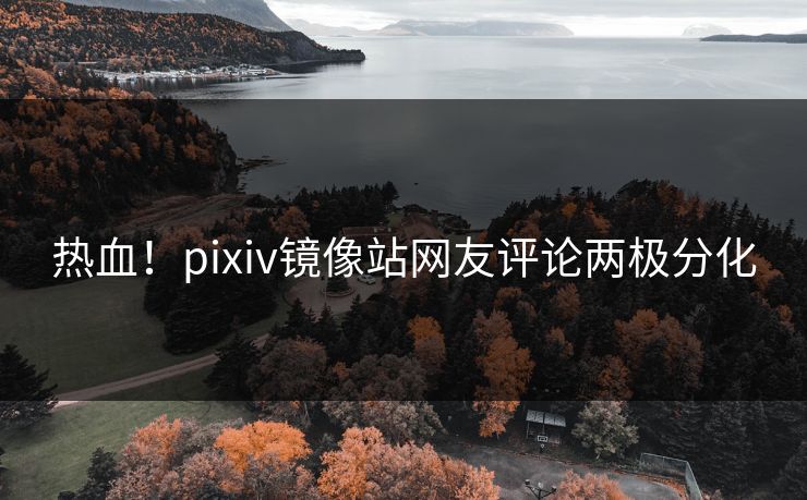 热血！pixiv镜像站网友评论两极分化