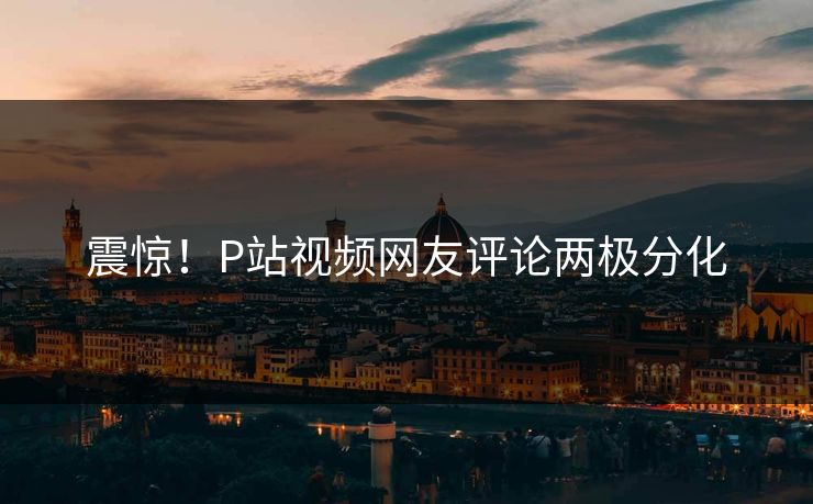 震惊！P站视频网友评论两极分化