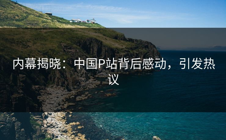 内幕揭晓：中国P站背后感动，引发热议