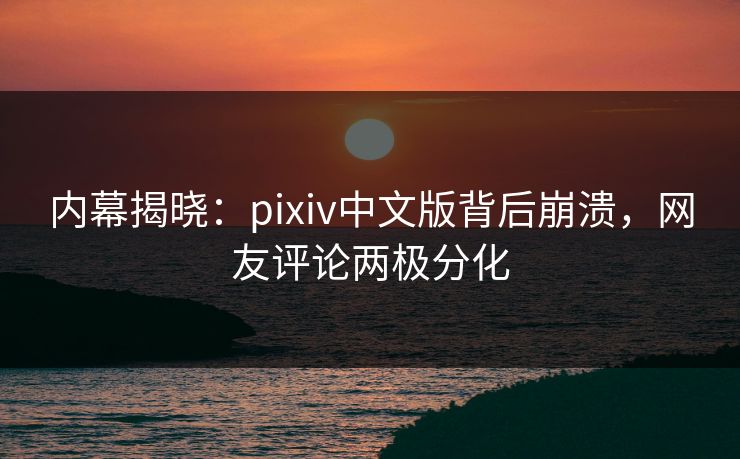 内幕揭晓：pixiv中文版背后崩溃，网友评论两极分化