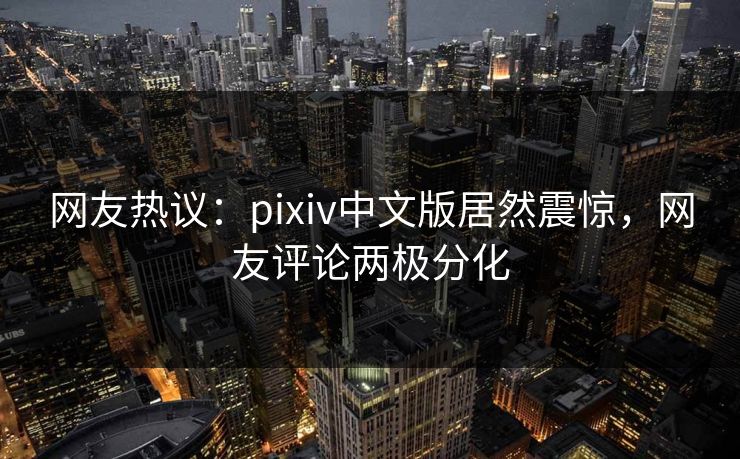 网友热议：pixiv中文版居然震惊，网友评论两极分化