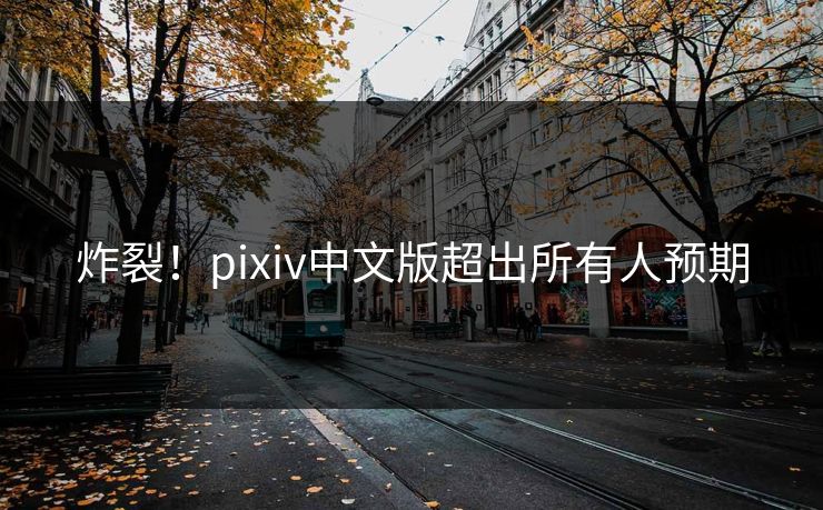 炸裂！pixiv中文版超出所有人预期