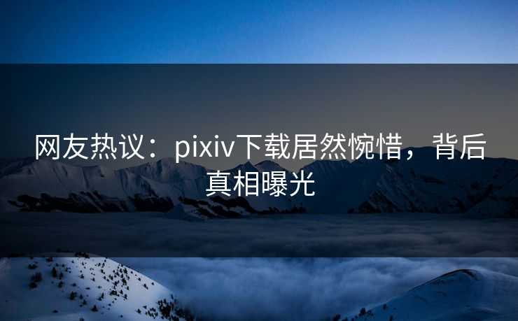 网友热议：pixiv下载居然惋惜，背后真相曝光