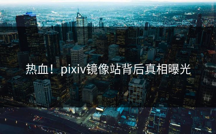 热血！pixiv镜像站背后真相曝光
