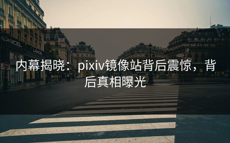 内幕揭晓：pixiv镜像站背后震惊，背后真相曝光
