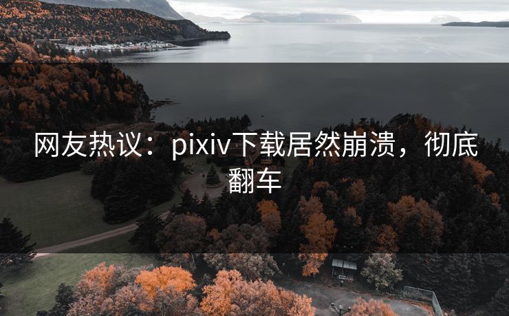 网友热议：pixiv下载居然崩溃，彻底翻车