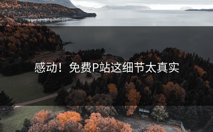 感动！免费P站这细节太真实