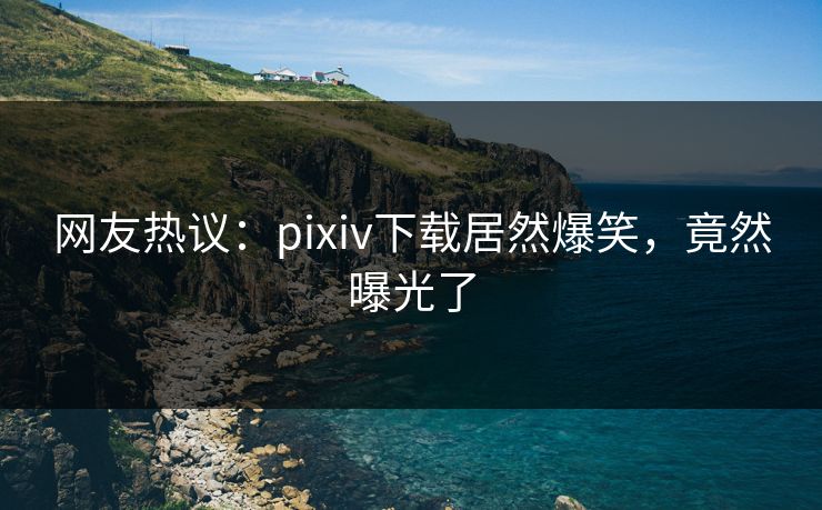 网友热议：pixiv下载居然爆笑，竟然曝光了