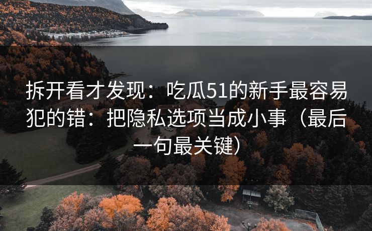 拆开看才发现:吃瓜51的新手最容易犯的错:把隐私选项当成小事(最后一句最关键) 拆开看才发现:吃瓜51的新手最容易犯的错:把隐私选项当成小事(最后一句最关键)